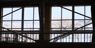 IMG_3223